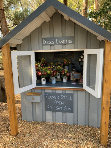 TOUR DE FLEUR (Part I)