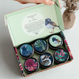 AROMA POT CANDLE - SAMPLE PACK