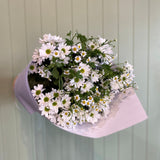 Bouquet of white daisy flowers with green leaves on a light green background