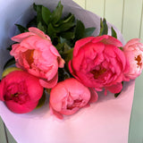 SOFT SERVE PEONY ROSES