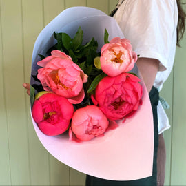 SOFT SERVE PEONY ROSES