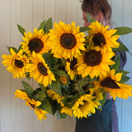 SUNFLOWERS (not available for Mothers Day)