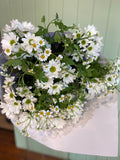 Bouquet of white daisy flowers with green leaves on a light green background