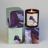 A Lemon Myrtle candle with artwork of a fairy wren on the packaging, displayed alongside its matte black vessel with a lit candle.