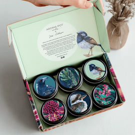 AROMA POT CANDLE - SAMPLE PACK