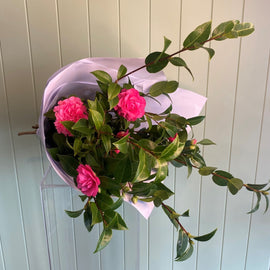 A bouquet of vibrant hot pink camellia flowers with green leaves is wrapped in white paper and placed against a light green, vertical-paneled wall. The flower arrangement is contemporary and lush, perfect for adding a touch of elegance with camellias extending outward.