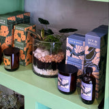 Shelves with decorative items including candles, boxes, and vases against a green wall.