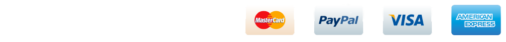 Logo Payment