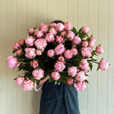 Bouquet of pink flowers held by a person in front of a light green wall.