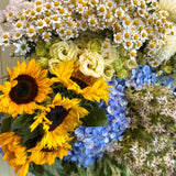Bouquet of sunflowers, daisies, and hydrangeas with a light background