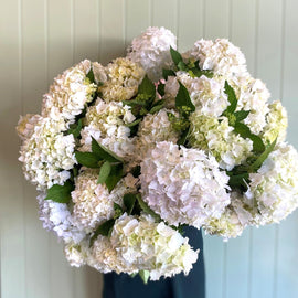 Floral bunch with white and green flowers against a light blue wall.