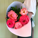 SOFT SERVE PEONY ROSES