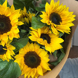 SUBSCRIBER OFFER - SUNFLOWERS
