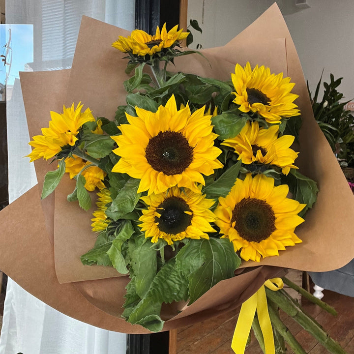 SUBSCRIBER OFFER - SUNFLOWERS