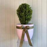 TOPIARY POT