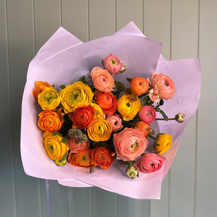 A colorful assortment of ranuculus flowers beautifully displayed with white wrapping highlighting their natural charm.