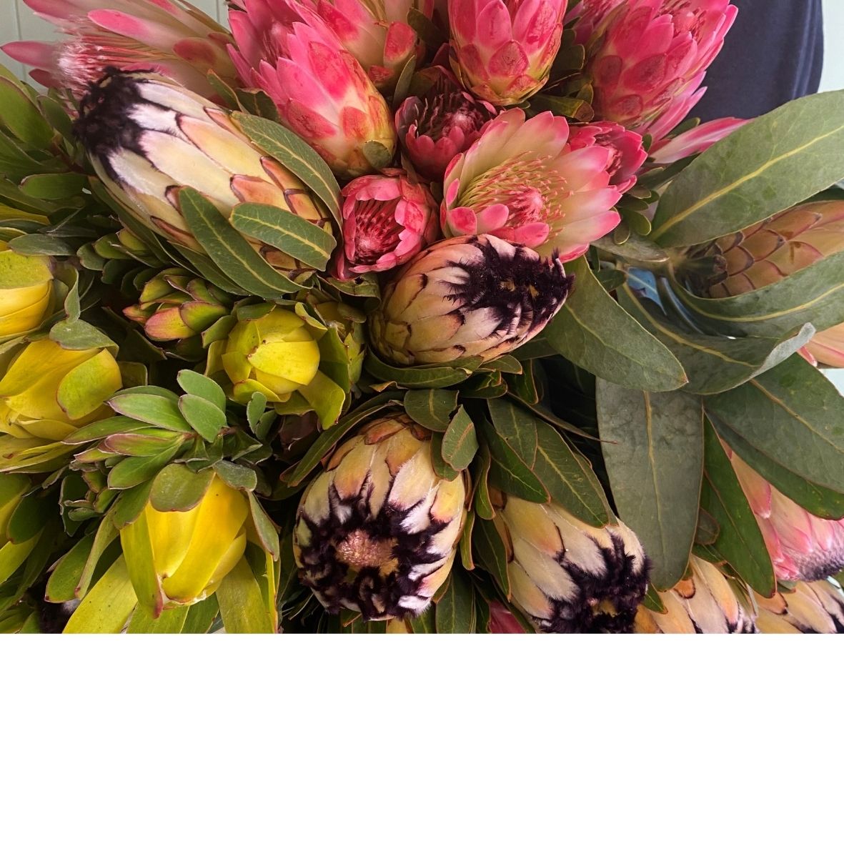 Smellies Flowers