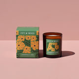 IVY & WOOD candle and packaging on a pink background